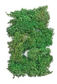 Dalprint Mech ciemnozielony 30g