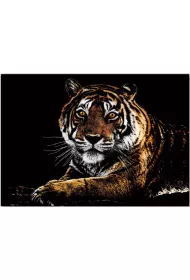 Twoje Hobby Tiger. Magiczna zdrapka - wydrapywanka 40.0 x 28.5 cm