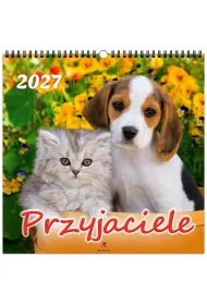 Kalendarz 2027 wieloplanszowy 33x33cm Przyjaciele