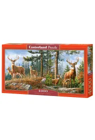 Puzzle 4000 el. Royal Deer Family Castorland