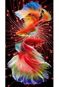 Norimpex Diamentowa mozaika - Dwie czerwone ryby 2000155 30x40cm