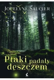 Ptaki pada�y deszczem