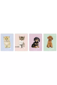 Interdruk Zeszyt A5 UV Puppy Sign trzy linie, 70g 16 kartek