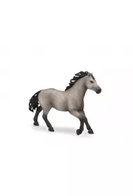 Quarter Horse Club