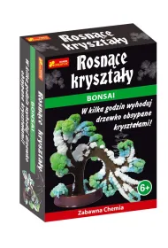 Bonsai Ranok-Creative