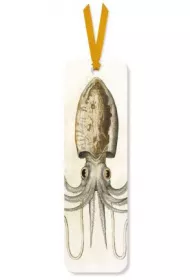 Museums & Galleries Zakadka do ksiki Squid
