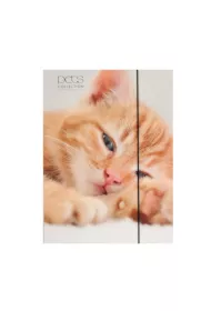 Pan Dragon Teczka A4 z gumk� Pets-15