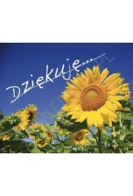 Dzi�kuj�. Pere�ka