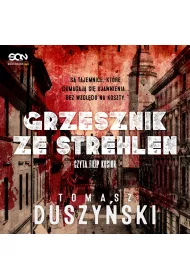 Audiobook Grzesznik ze Strehlen mp3