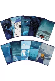 Top-2000 Zeszyt A5 Winter Sailor kratka 60 kartek 10 szt.