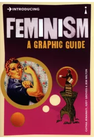 Introducing Feminism