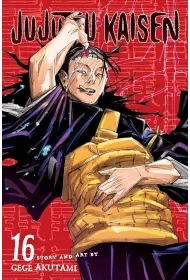 Jujutsu Kaisen. Vol. 16