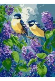 Ideyka Malowanie po numerach - Wiosenny duet 30x40cm