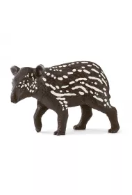 Ma�y tapir SLH14851