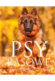 Psy rasowe
