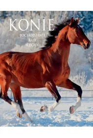 Konie. Pochodzenie, rasy, cechy
