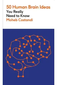 50 Human Brain Ideas You Really Need to Know wer. angielska