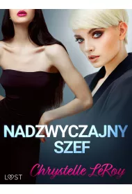 eBook Nadzwyczajny szef - opowiadanie erotyczne mobi epub