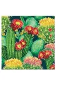 Paw Serwetka Lunch Decor Vibrant Cacti 33x33 20szt./op.