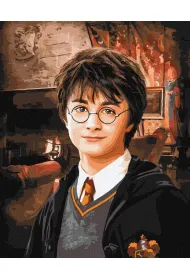 Ideyka Malowanie po numerach - Harry Potter 40x50cm