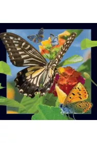 Worth Keeping Magnes 3D Motyl