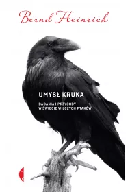 Umys� kruka. Badania i przygody w �wiecie wilczych ptak�w