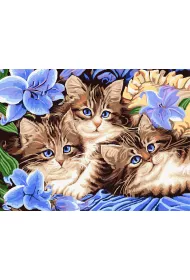 Twoje Hobby Malowanie po numerach - Trzy koci�ta 40x50cm
