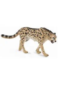 Gepard kr�lewski