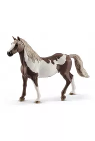Ko� Paint Gelding