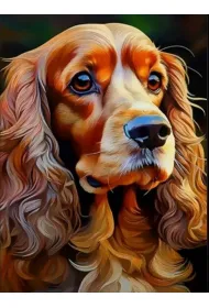 Norimpex Diamentowa mozaika - Pies Cocker Spaniel Portret 30x40cm