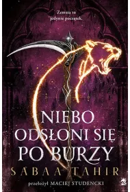 Niebo ods�oni si� po burzy