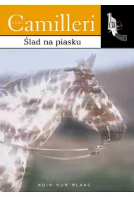 �lad na piasku