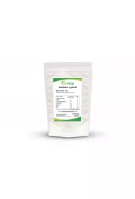 Delifood Inulina z cykorii 1 kg