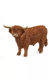 Highland Bull
