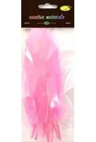Galeria Hobby Pi�rka twarde jasnor�owe 10 szt.