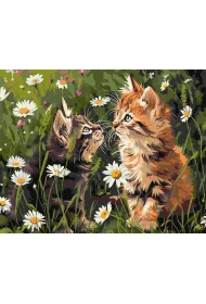 Ideyka Malowanie po numerach - Koty w kwiatach 40x50cm