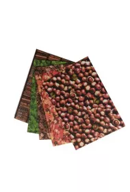 Galeria Hobby Karton Natura 300g, 24x34cm, 5 arkuszy