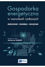 Gospodarka energetyczna w warunkach rynkowych. Modelowanie, ekonomika i zarz�dzanie
