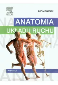 Anatomia uk�adu ruchu