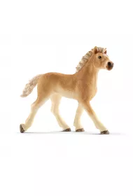 �rebi� rasy Haflinger