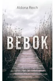 Bebok. Tomasz Radwan. Tom 1