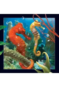 Clear Creations Poczt�wka 3D Konik morski