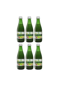 Bio Food Seler naciowy 100% ekologiczny kiszony Zestaw 6 x 300 ml Bio