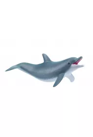Delfin bawi�cy si�