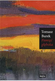 Pami�� g��boka