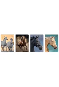 Interdruk Zeszyt A5 Wild Horses kratka, 70g 16 kartek