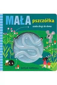 Ma�a pszcz�ka szuka drogi do domu