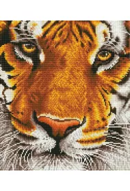 Dante Haft diamentowy - Adults Bengal Magic 44x50cm