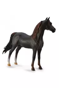 Ogier Morgan Stallion ma�ci kasztanowej
