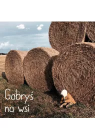 Gabry� na wsi